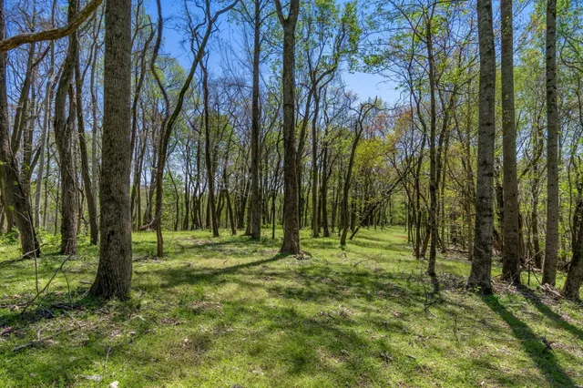 a big yard with lots of green space and trees