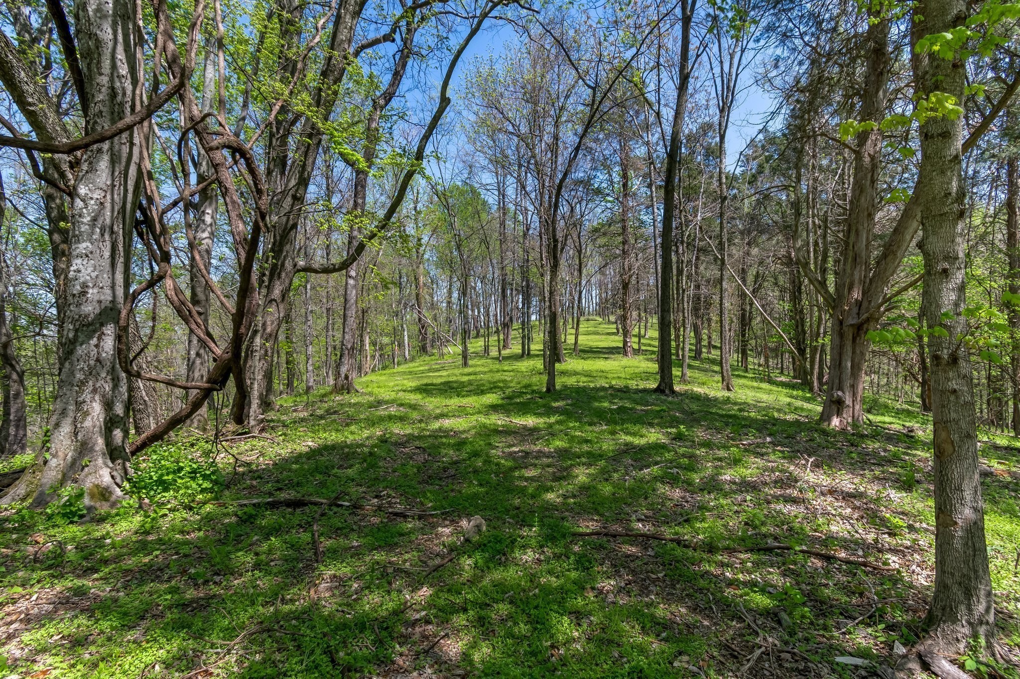 2819 B Yell Road Lewisburg, TN 37091 - Photo 22 of 24