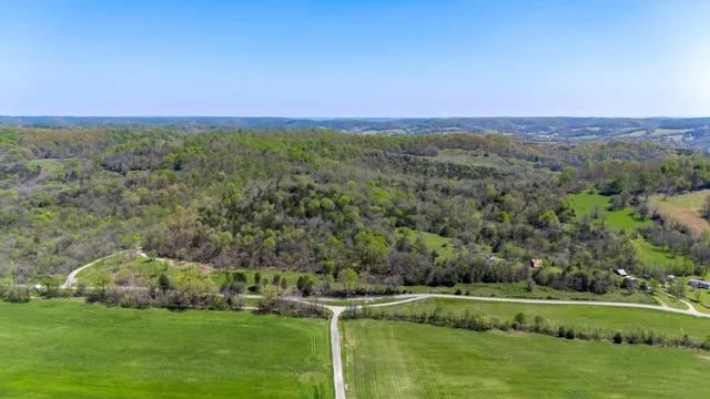 a view of a grassy field with an trees