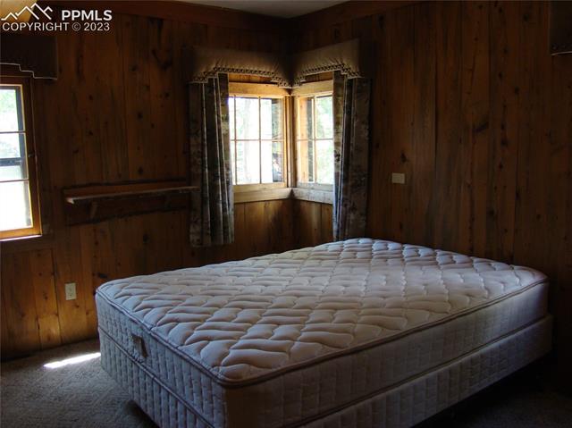 4033 Cedar Mountain Road Divide, CO 80814 - Photo 13 of 31 Gallery Image 13