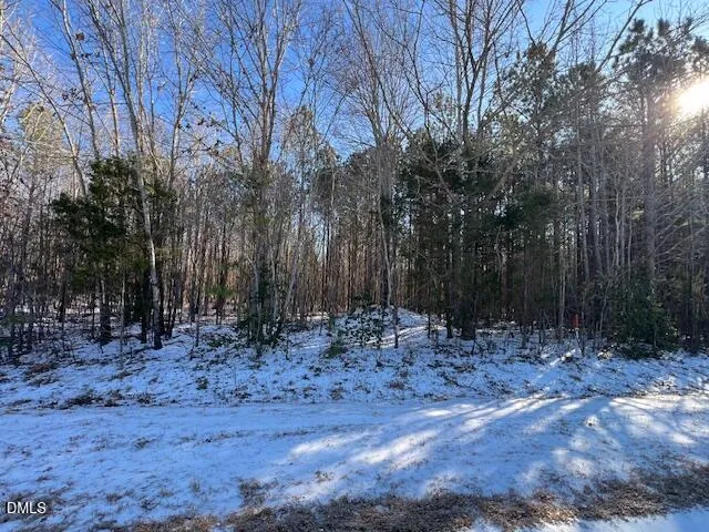 a view of backyard with green space