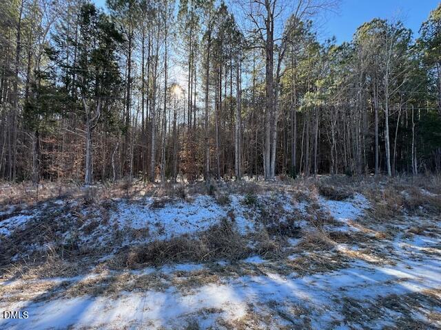 0 Burnside Road Oxford, NC 27565 - Photo 12 of 12 a view of outdoor space with trees