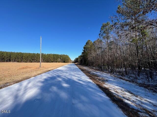 0 Burnside Road Oxford, NC 27565 - Photo 6 of 12 a view of a backyard