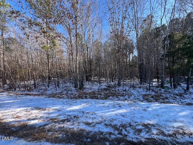 0 Burnside Road Oxford, NC 27565 - Photo 7 of 12 a view of backyard with green space