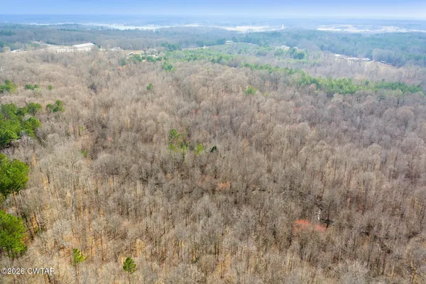 a view of a field with an ocean