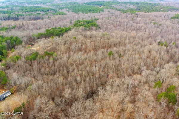 a view of a city with lush green forest