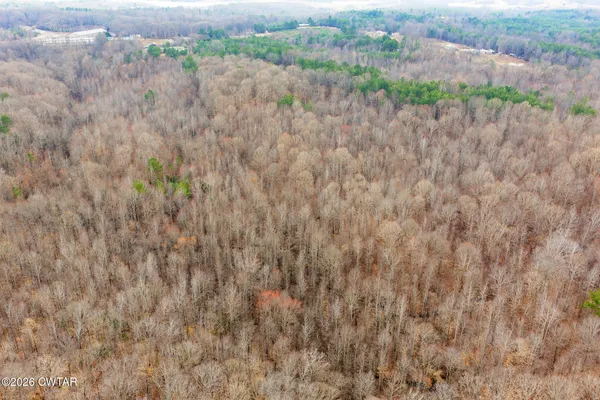 a view of a dry field with lots of trees