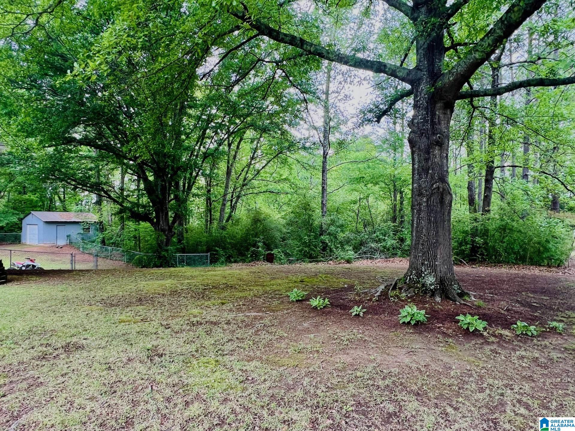 3101 Nail Road Warrior, AL 35180 - Photo 4 of 25
