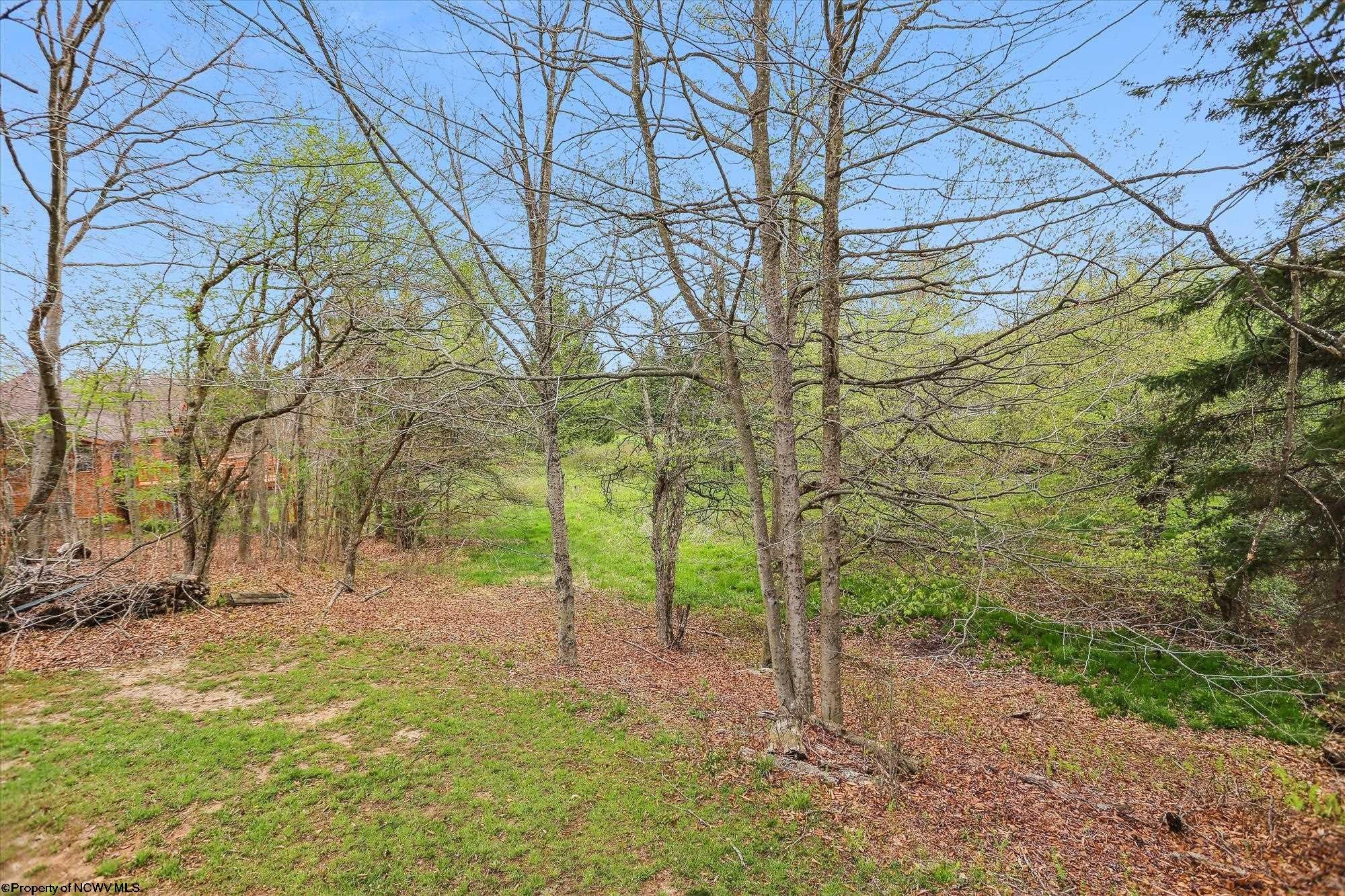 73 Yoakum Run Road Davis, WV 26260 - Photo 49 of 49 Gallery Image 49