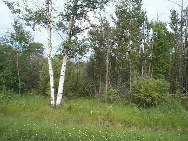 - Lindstrom Road Cotton, MN 55724 - Photo 1 of 5 Gallery Image 1