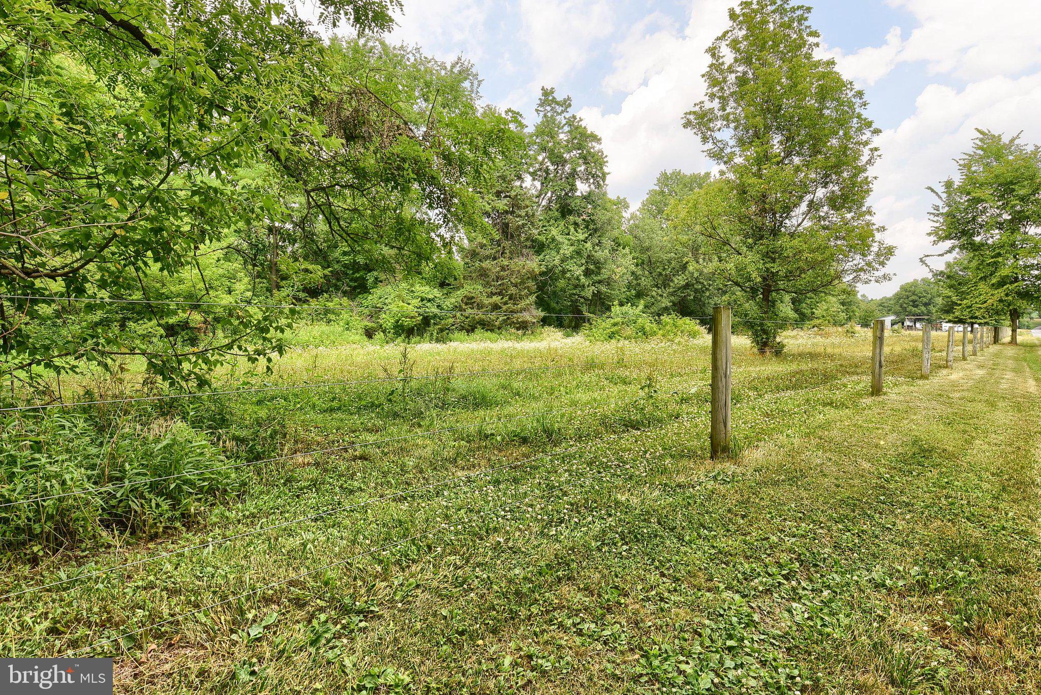 3740 Beagle Road Middletown, PA 17057 - Photo 68 of 70 a view of a yard with a tree