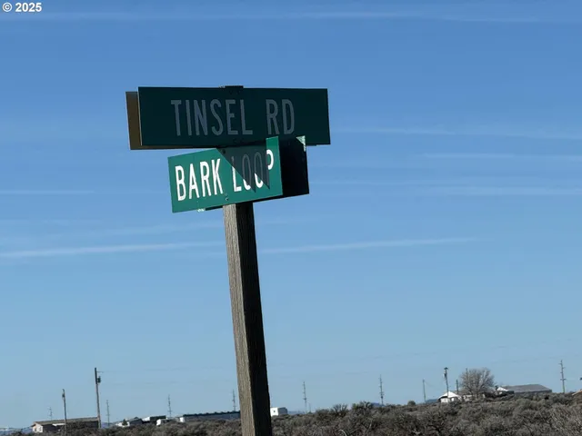 a view of the backyard of a house