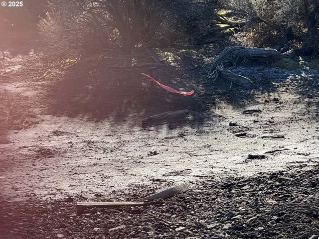 a view of a sky from a yard