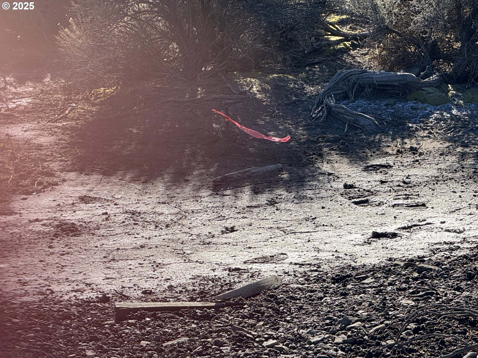 Bark Loop, Unit L2900 Christmas Valley, OR 97641 - Photo 12 of 29