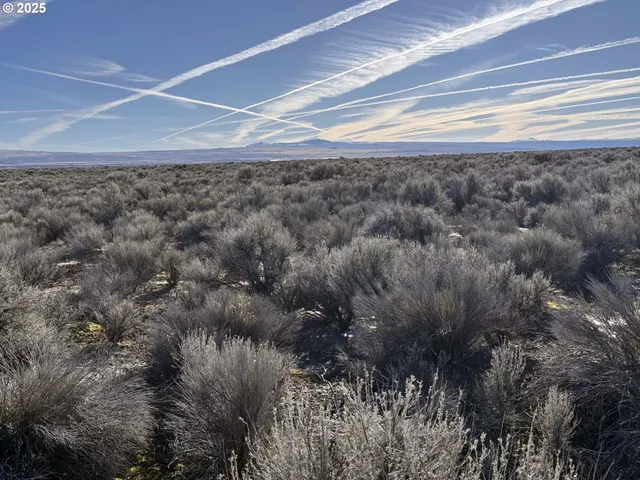 a view of a big yard