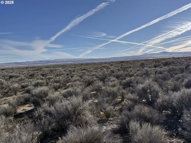 a view of city and mountain