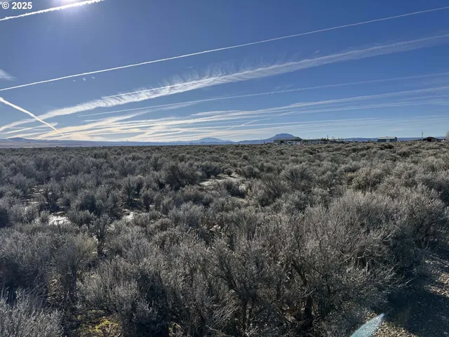 a view of a room with wooden floor and a window
