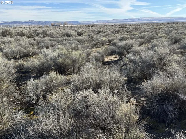 a view of a dry yard