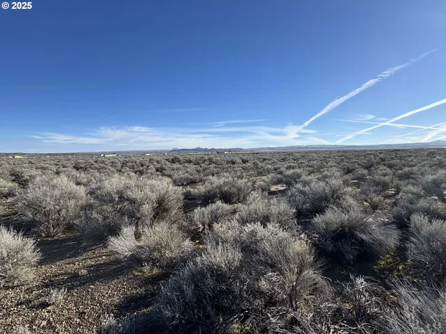 a black and white photo of a book