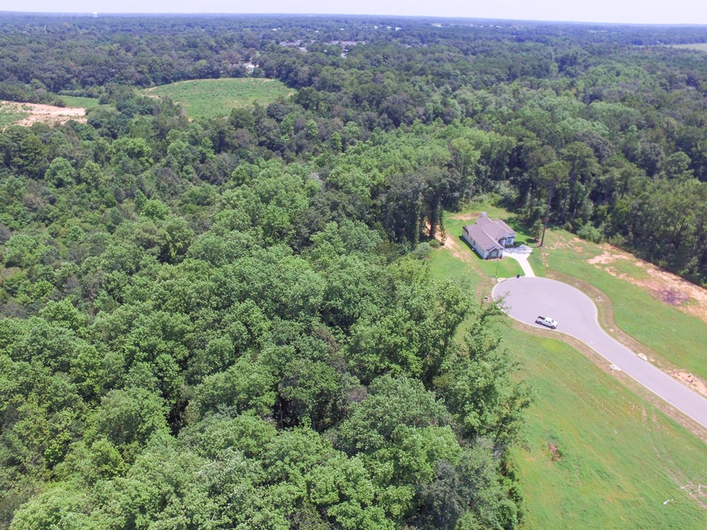 102 Laney Lane Dothan, AL 36305 - Photo 14 of 29
