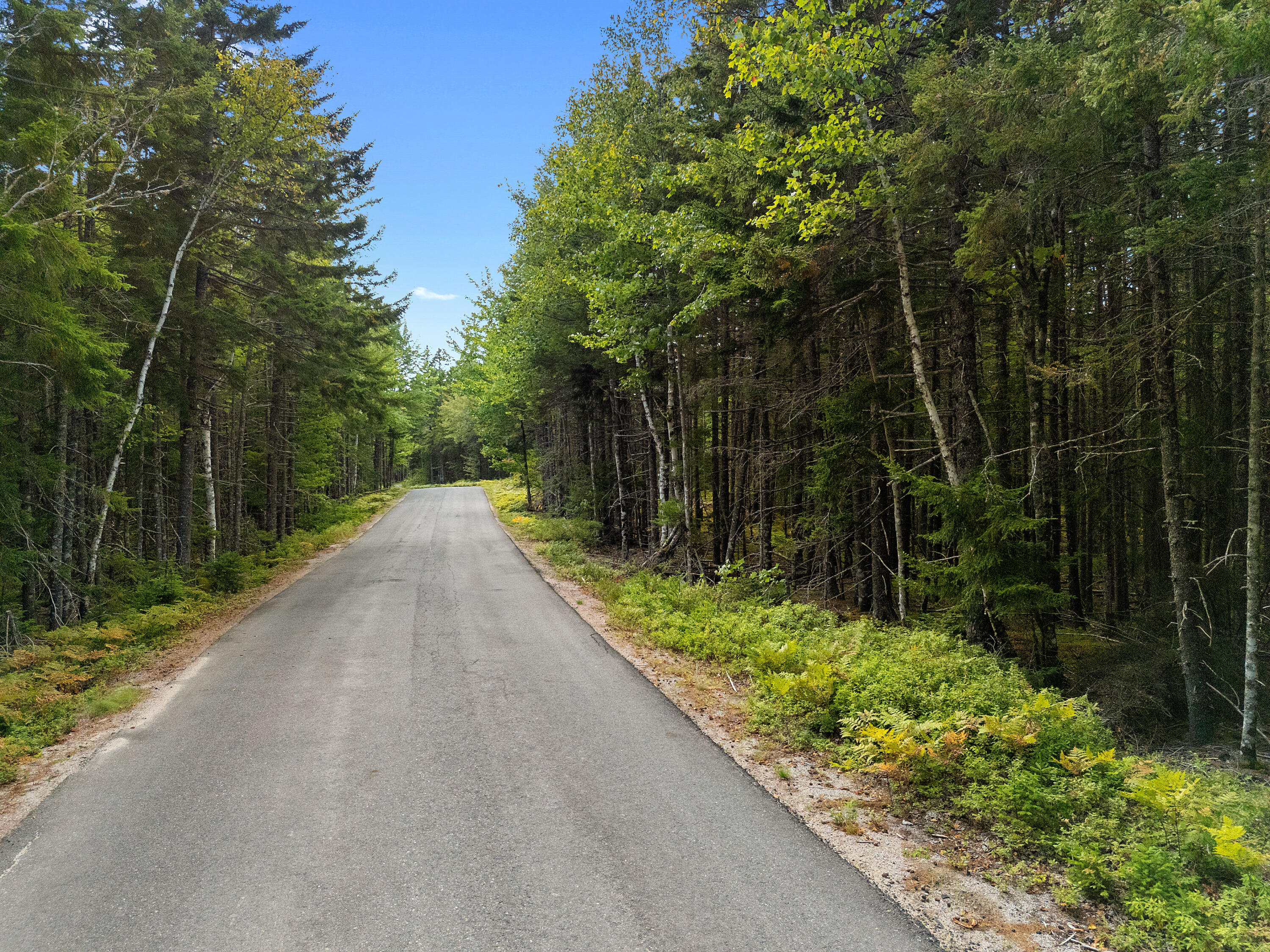 Lot 1 Peninsula Shore Road Corea, ME 04624 - Photo 6 of 23