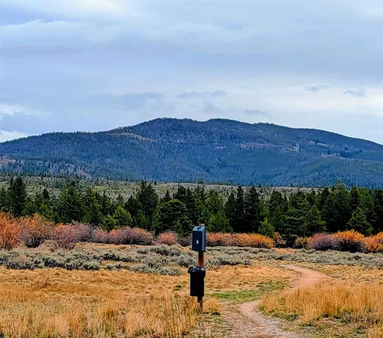 a view of a yard with a mountain
