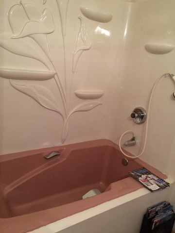 46 Bristol Ridge Road Bristol, IL 60512 - Photo 10 of 12 a bathroom with a bathtub