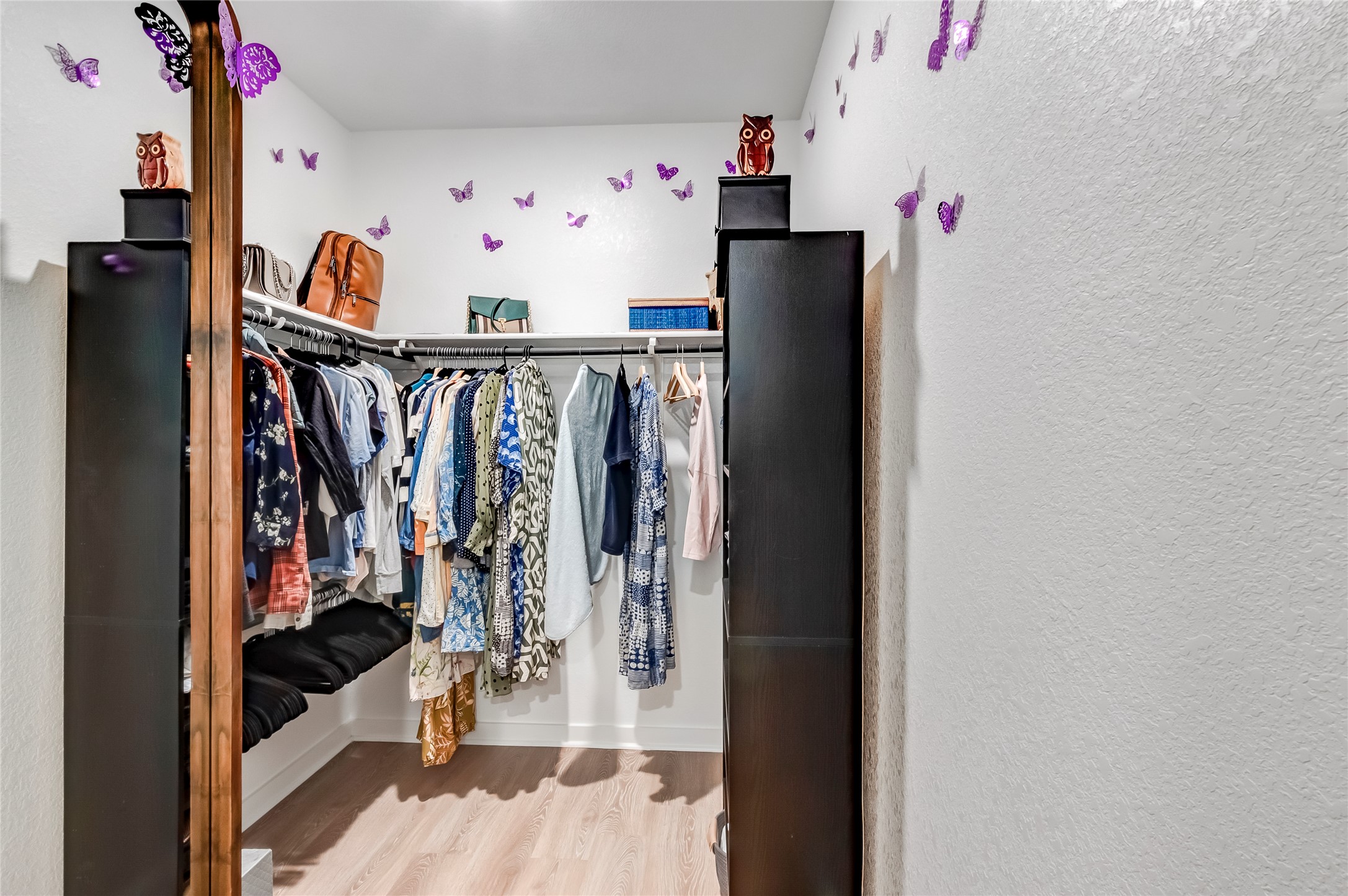 917 Balsora Cove Georgetown, TX 78628 - Photo 24 of 39 Walk in closet featuring light wood-style floors