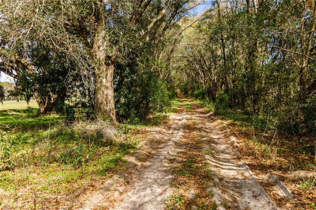 Tbd Southwest 298th Street Newberry, FL 32669 - Photo 1 of 18 a view of outdoor space and yard