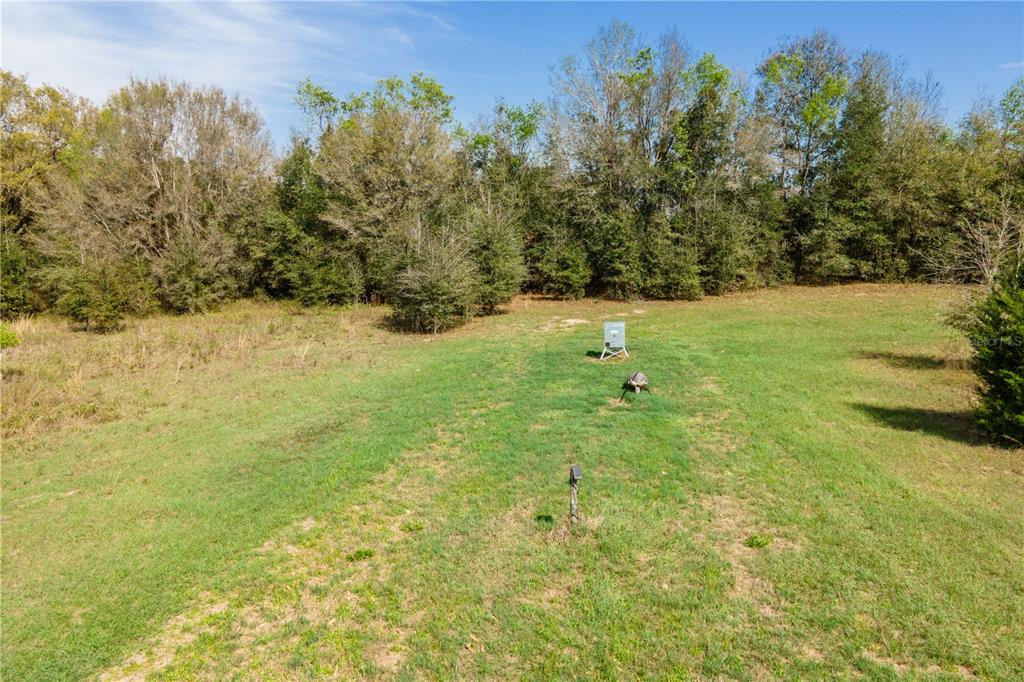 Tbd Southwest 298th Street Newberry, FL 32669 - Photo 15 of 18 a backyard of a house with lots of green space