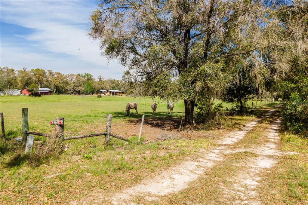 Tbd Southwest 298th Street Newberry, FL 32669 - Photo 3 of 18 a view of a lake with a table and chairs
