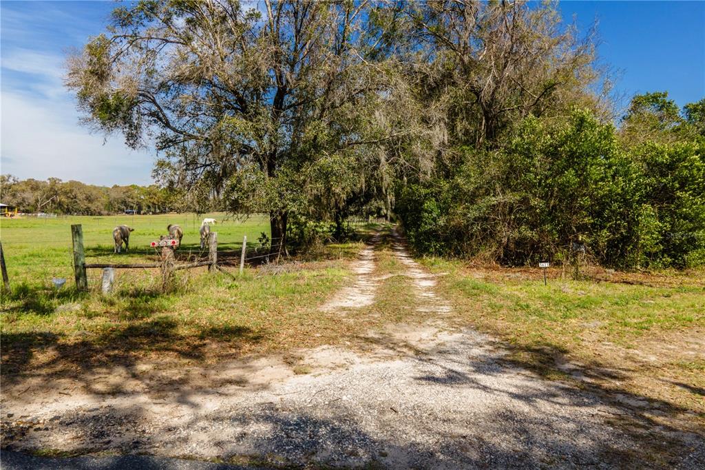 Tbd Southwest 298th Street Newberry, FL 32669 - Photo 4 of 18 a view of yard with green space