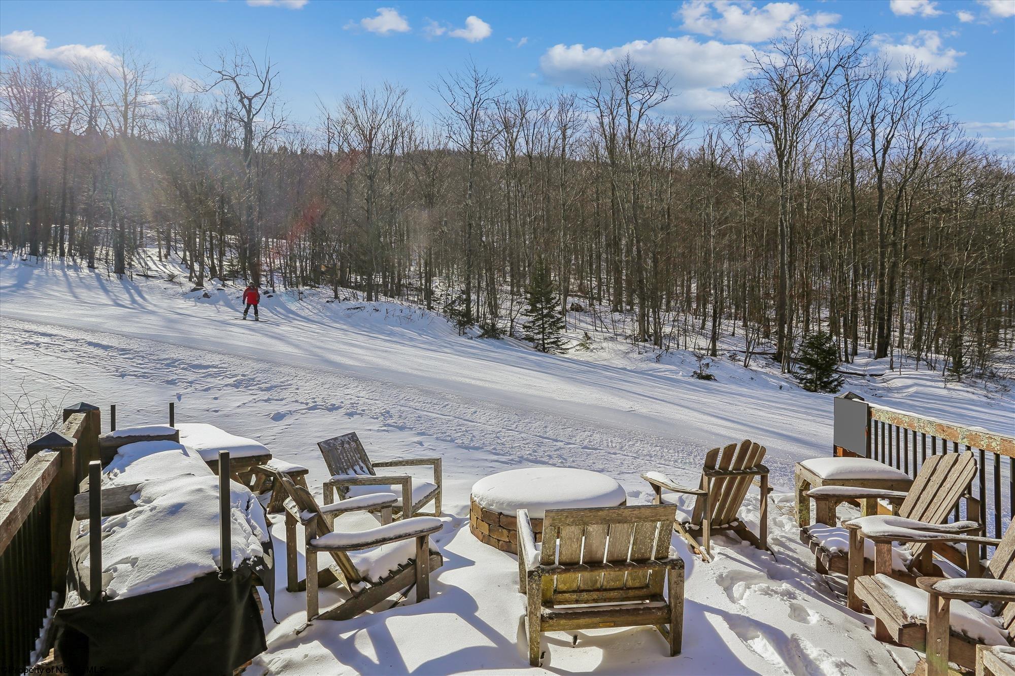 451 Brookside Road Davis, WV 26260 - Photo 41 of 46 Gallery Image 41
