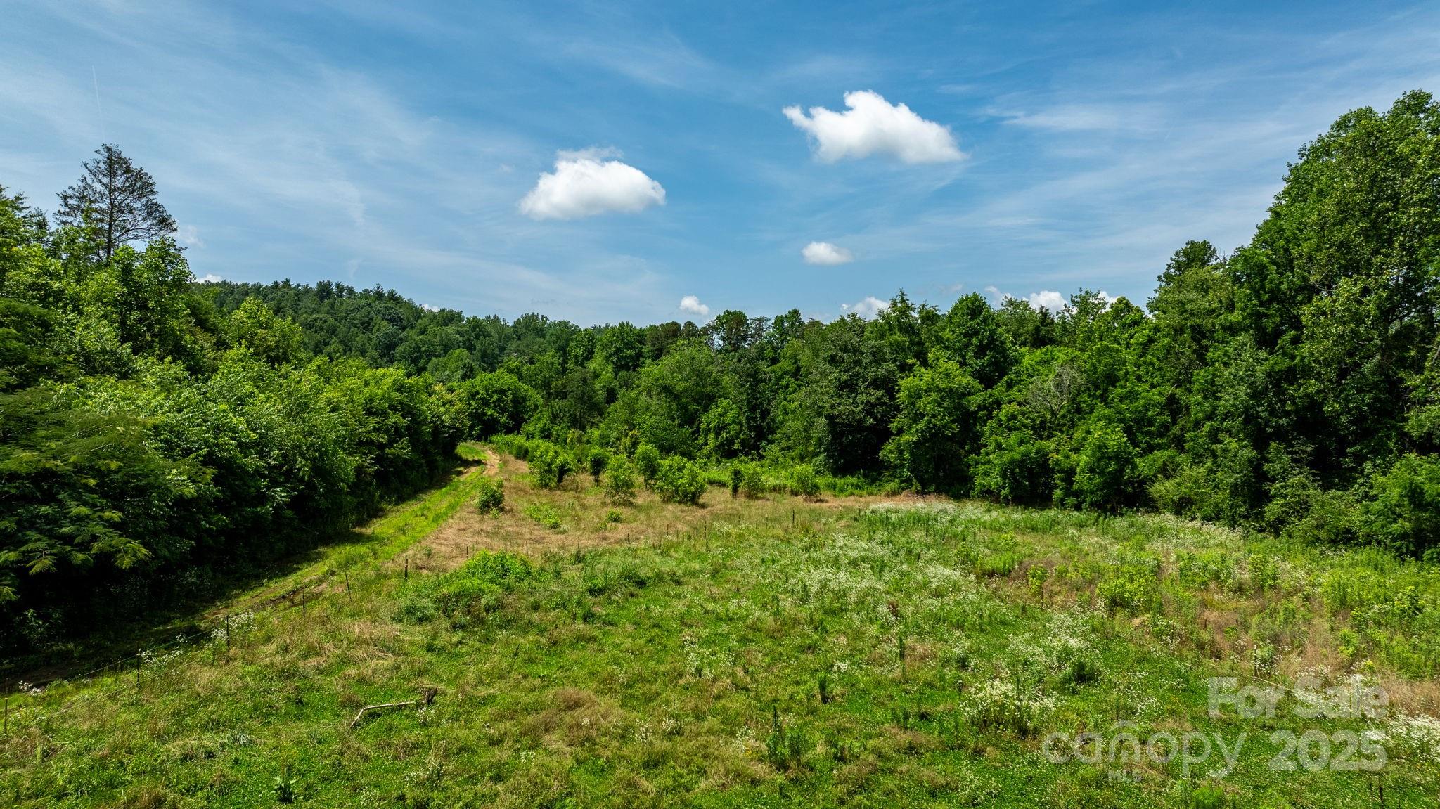0 Rocky Road Lenoir, NC 28645 - Photo 1 of 9 Gallery Image 1