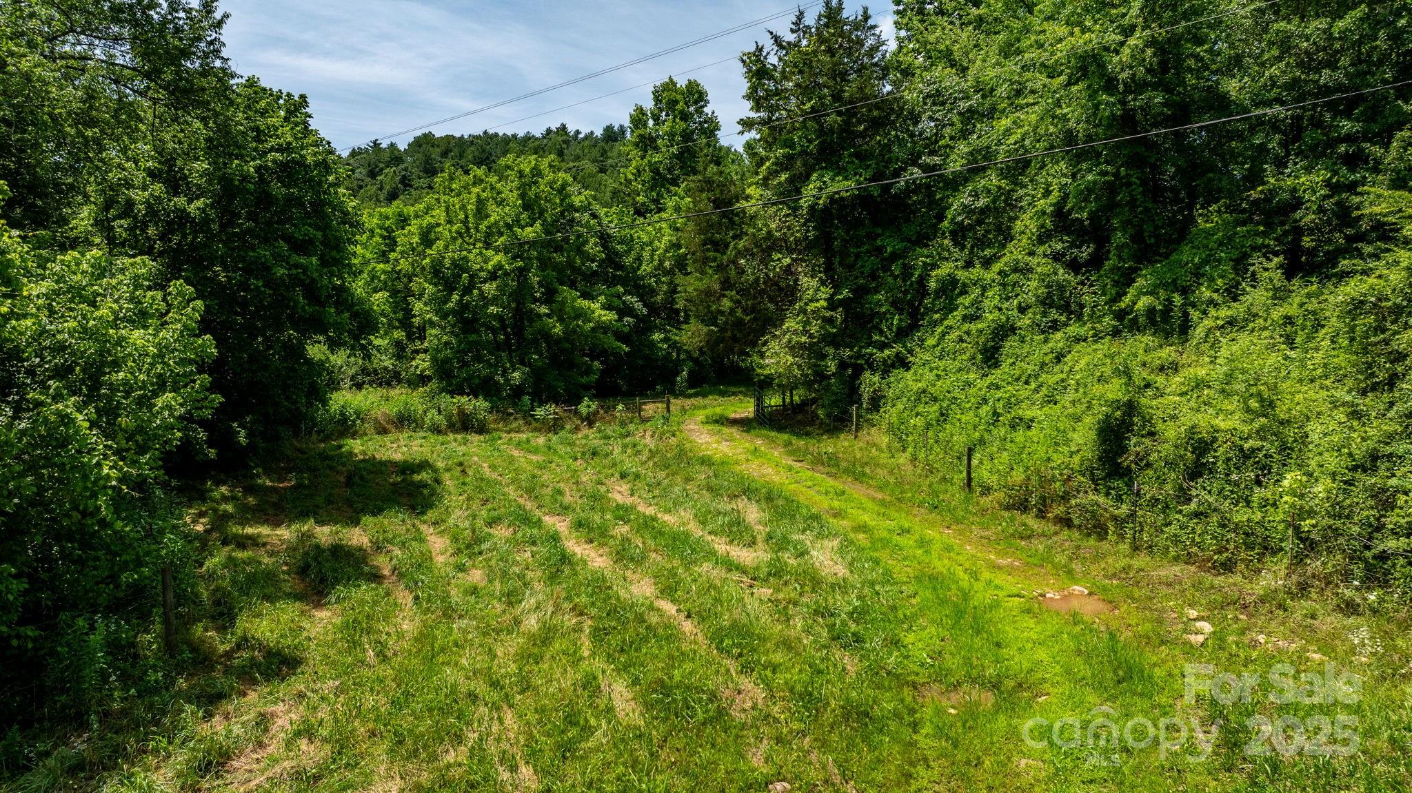0 Rocky Road Lenoir, NC 28645 - Photo 7 of 9 Gallery Image 7