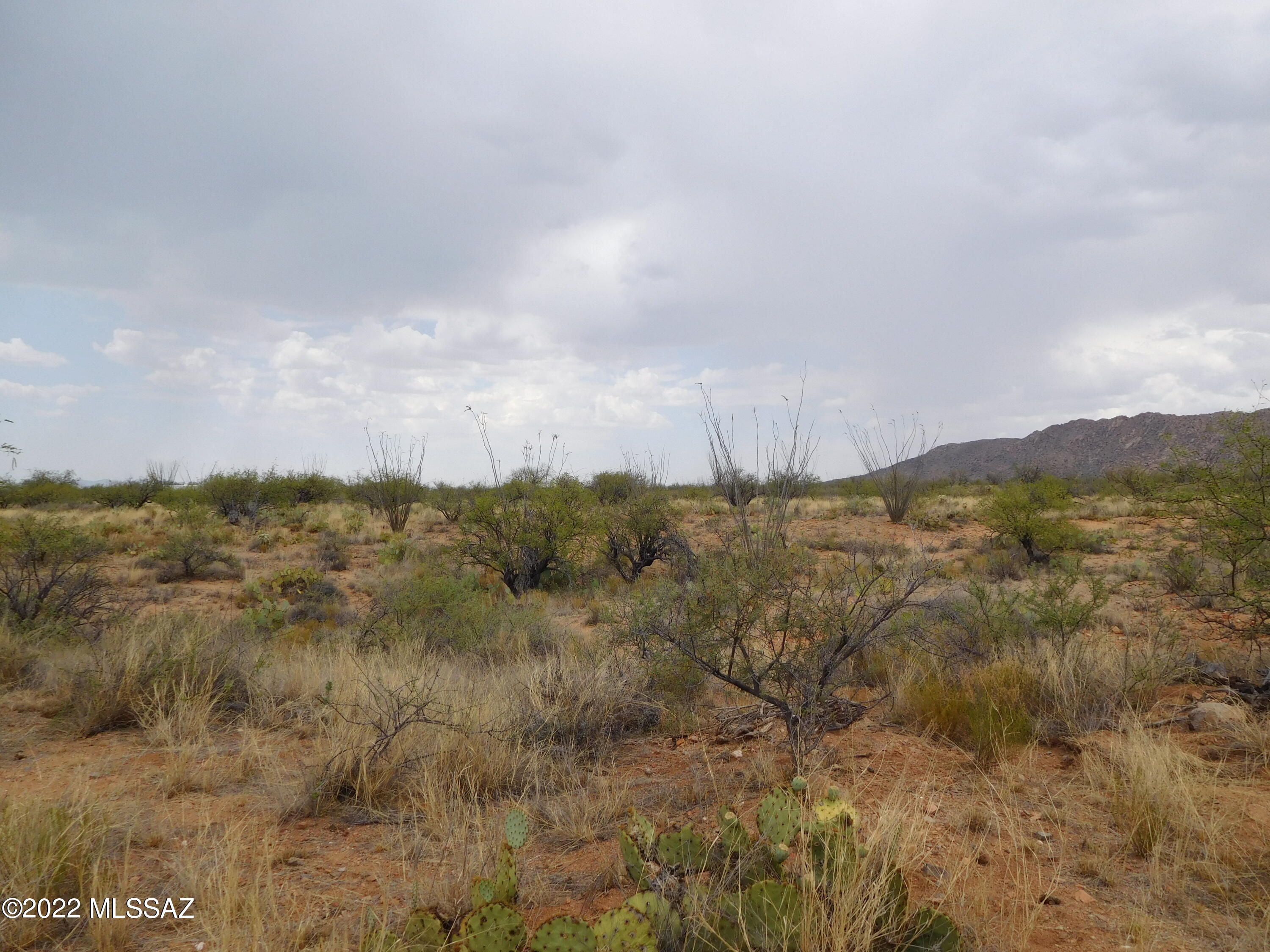 16705 South Sierrita Mountain Road Tucson, AZ 85736 - Photo 3 of 38