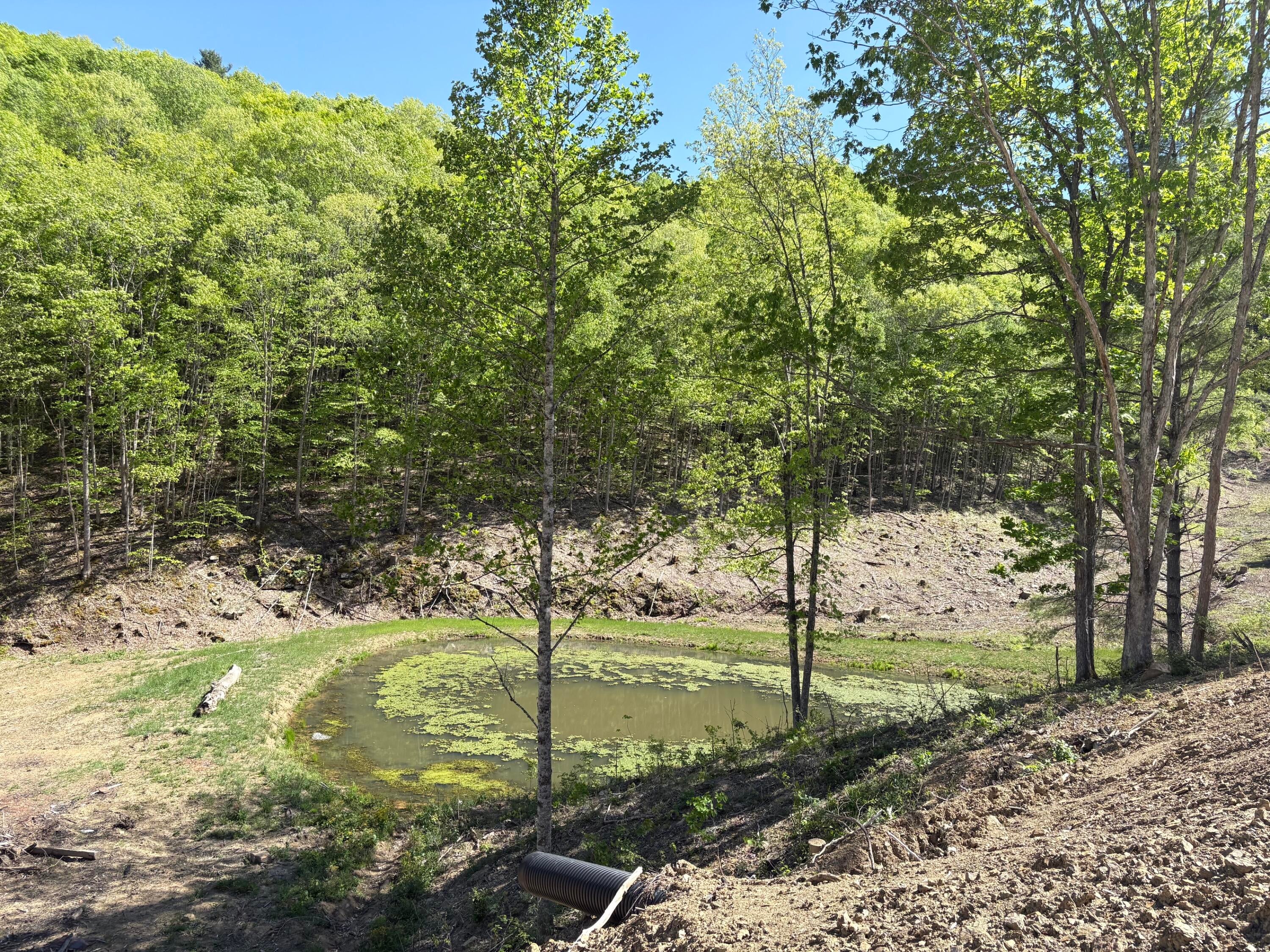 Suck Creek Road Jumping Branch, WV 25969 - Photo 29 of 52 Gallery Image 29