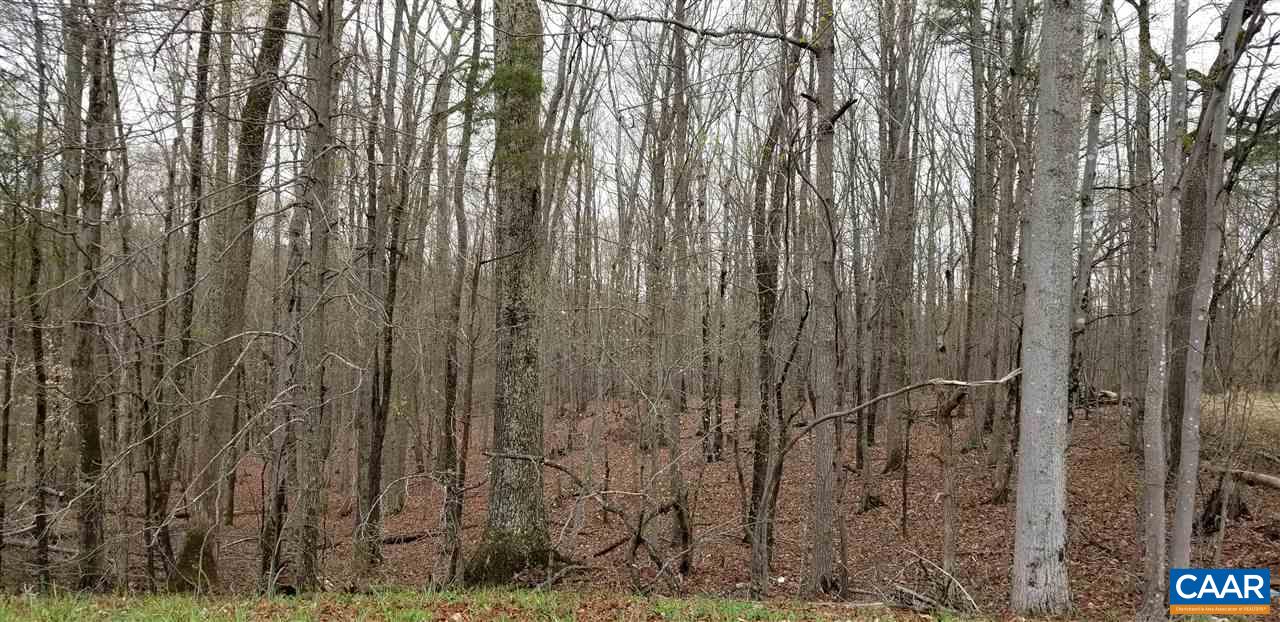 18 Mountain Hill Road Palmyra, VA 22963 - Photo 1 of 3 Gallery Image 1