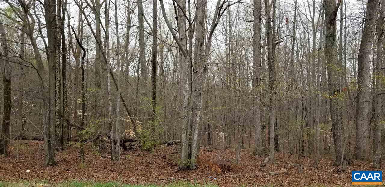 18 Mountain Hill Road Palmyra, VA 22963 - Photo 2 of 3 Gallery Image 2