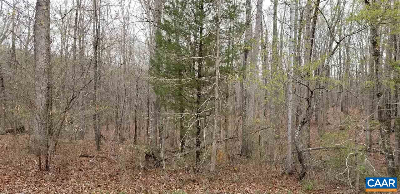 18 Mountain Hill Road Palmyra, VA 22963 - Photo 3 of 3 Gallery Image 3