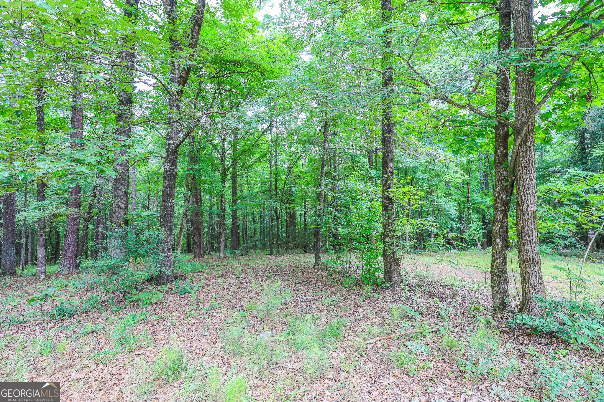 168 Williams Road LaGrange, GA 30240 - Photo 50 of 53