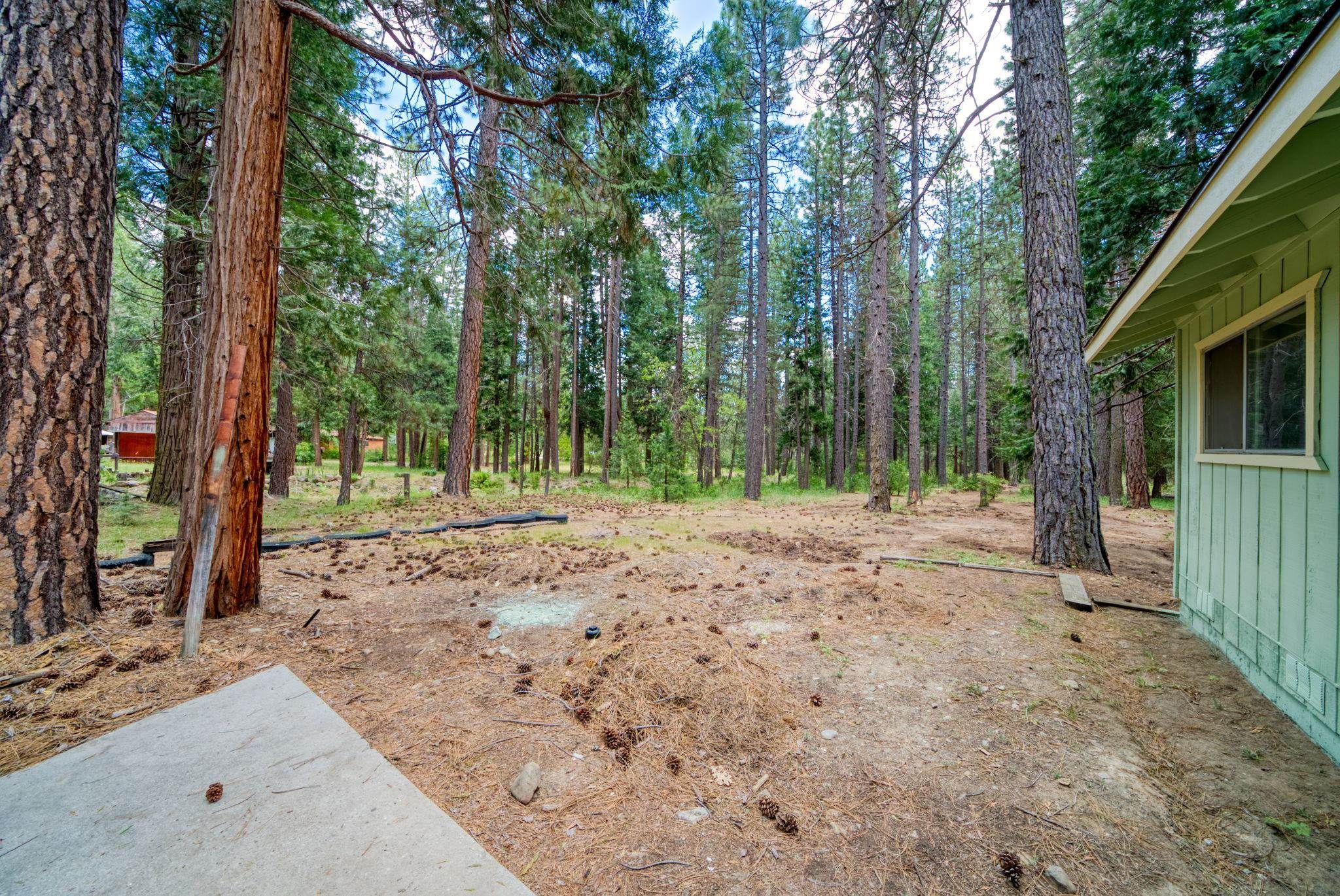 58374 Gill Ranch Road Cromberg, CA 96103 - Photo 17 of 44 a view of a backyard with trees