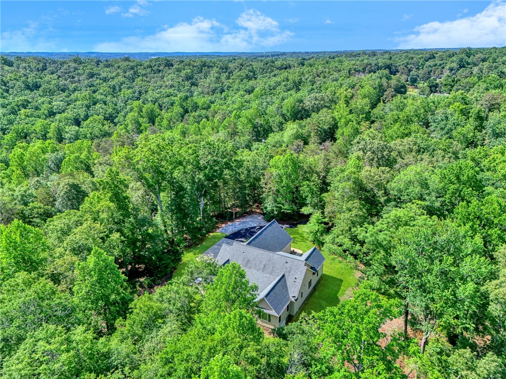 547 Lawrence Bridge Road Seneca, SC 29672 - Photo 45 of 49