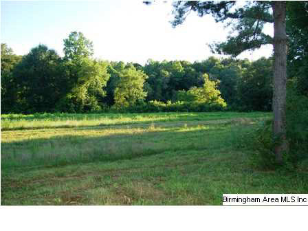 509 County Road, Unit 40 Woodland, AL 36280 - Photo 15 of 21