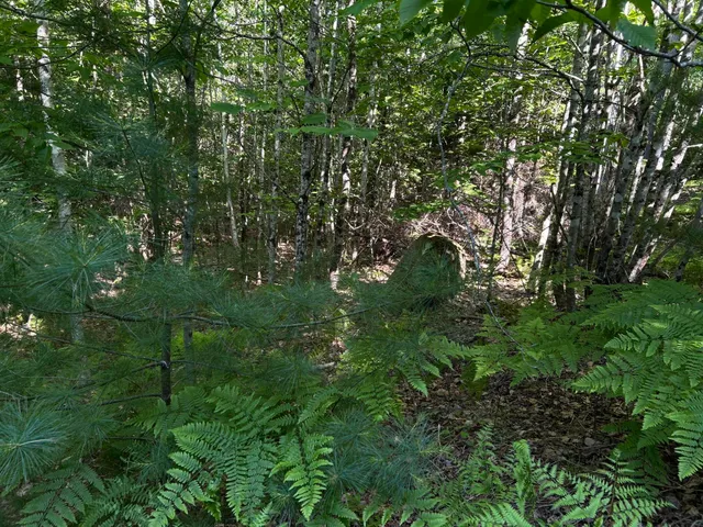 $329,000 | M12-lot29 Monroe Highway, Brooks, ME 04921
