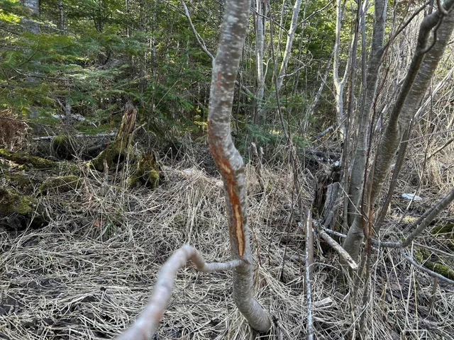 $329,000 | M12-lot29 Monroe Highway, Brooks, ME 04921