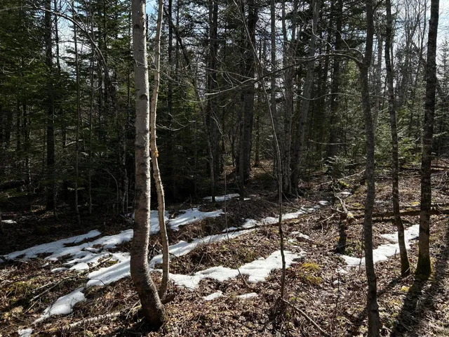 $329,000 | M12-lot29 Monroe Highway, Brooks, ME 04921