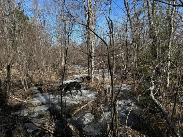 $329,000 | M12-lot29 Monroe Highway, Brooks, ME 04921