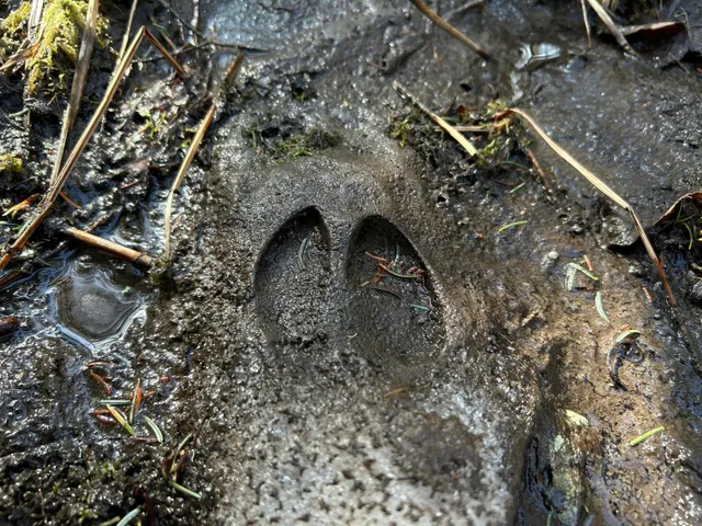 $329,000 | M12-lot29 Monroe Highway, Brooks, ME 04921