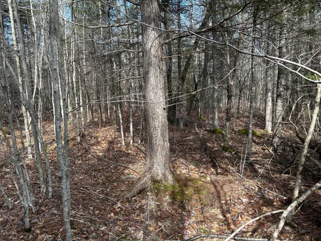 $329,000 | M12-lot29 Monroe Highway, Brooks, ME 04921